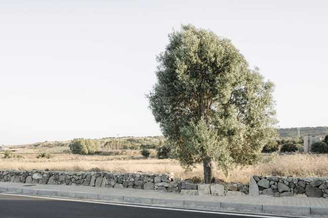 Siddi Urban Threshold, a door of memory open to the landscape