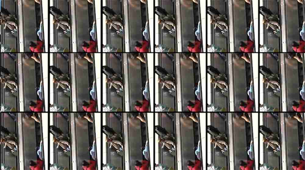 Stefano Ronci. Abitare il confine, rendere visibile l’invisibile