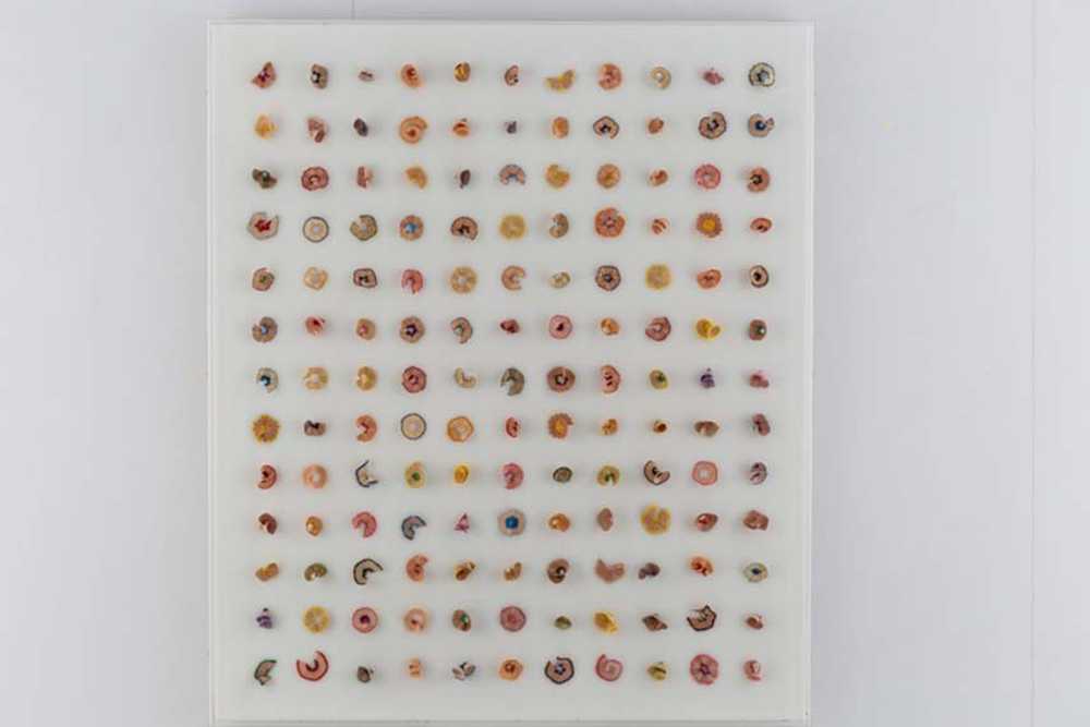 Stefano Ronci. Abitare il confine, rendere visibile l’invisibile