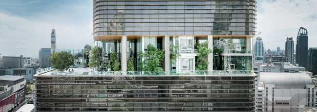 Garden terrace for the attic of the tower