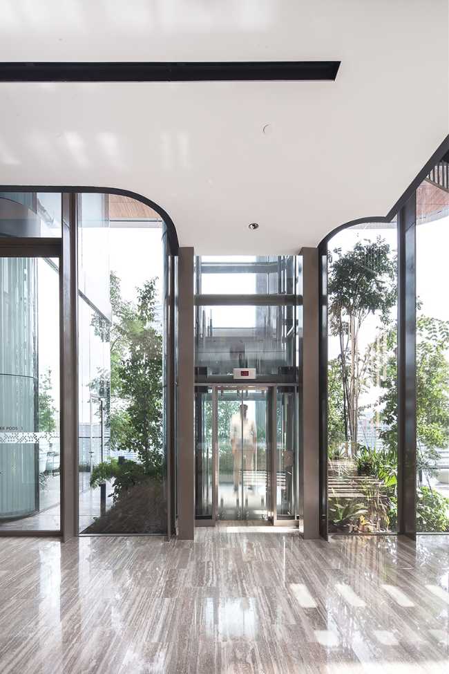 Green on the roof terrace