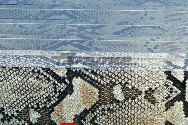 Python inserts inserted between the glass plates