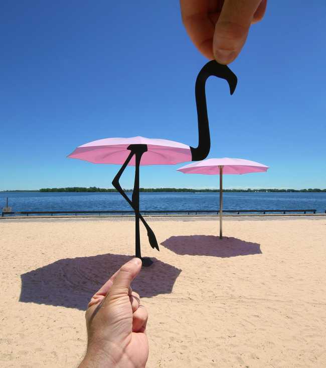 Umbrellas like flamingos