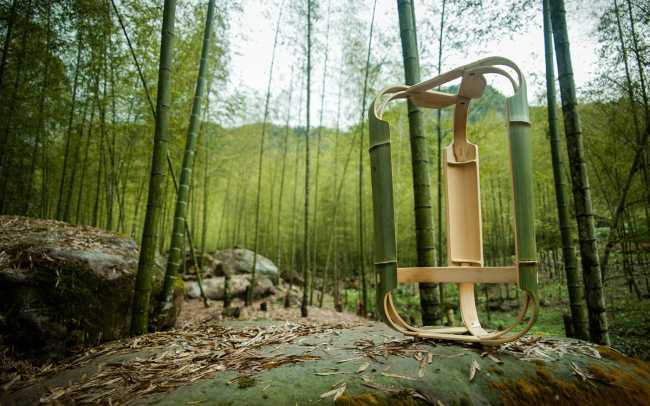 Bamboo forest and stool