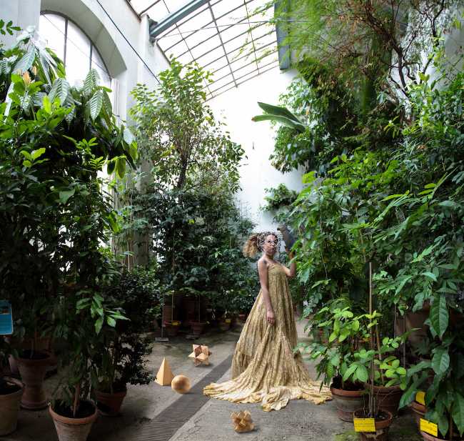 A greenhouse as an internship