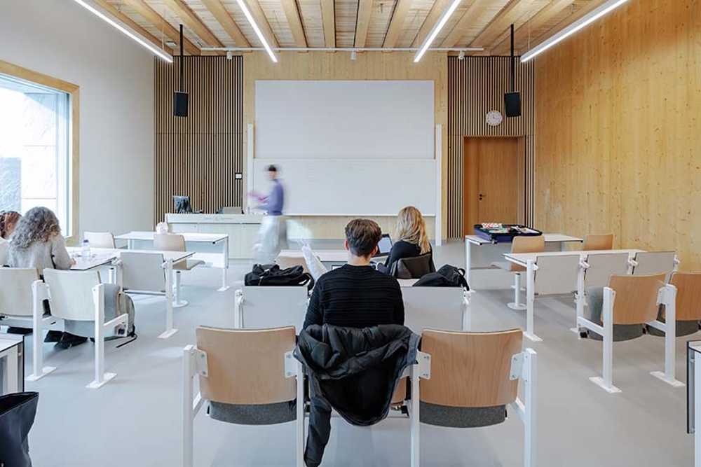 Marga Klompé Building: wood, stone, ecology, and design