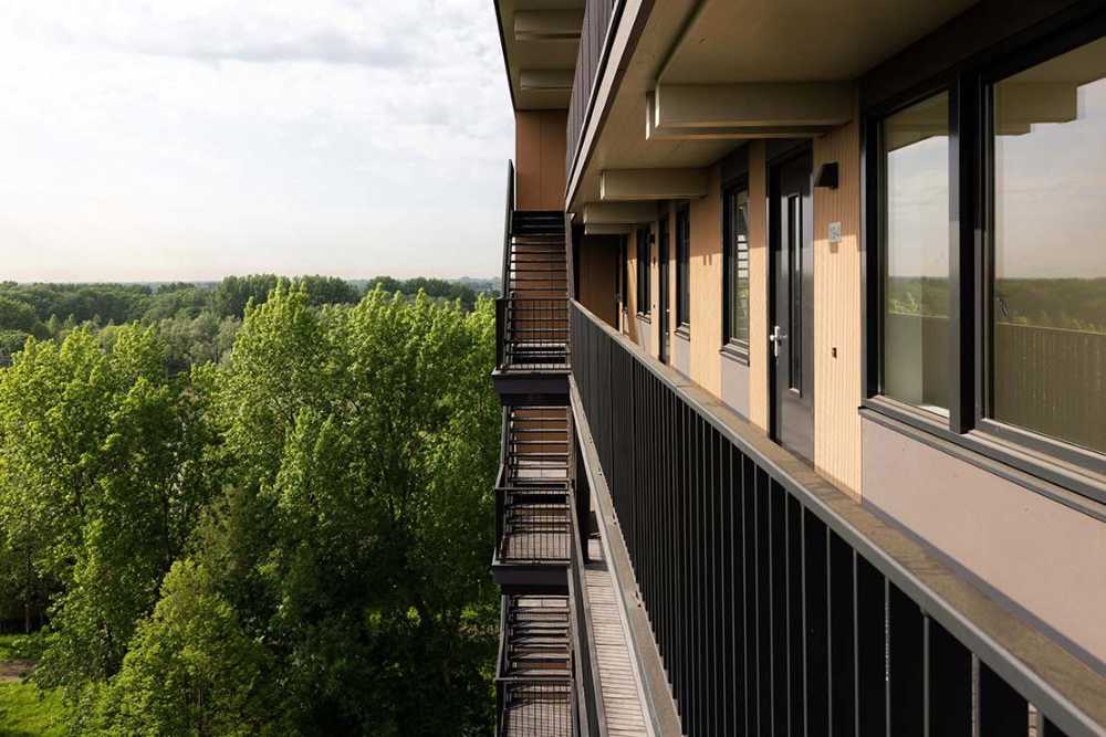 Edificio Valckensteyn: legno strutturale per 82 alloggi sociali