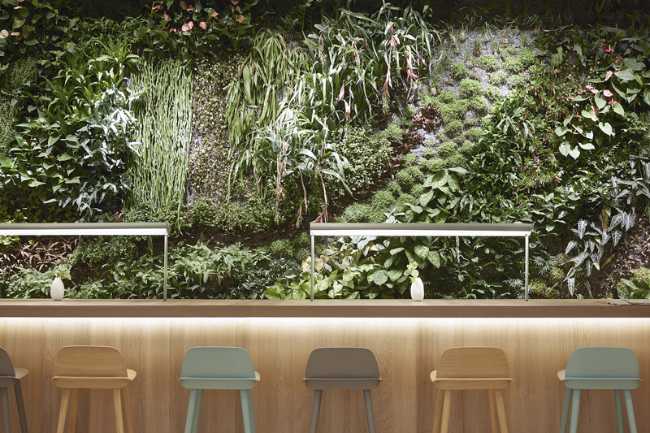 piano bar in legno e sfondo di vegetazione