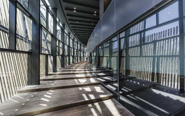 padiglione-centro-cultura-legno-circolare-istruzione-competizione-cielo-esposizione-illuminazione-rampa-doghe-lamella-cerchio-illuminazione-struttura-interno