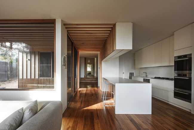 Interior in wood open space