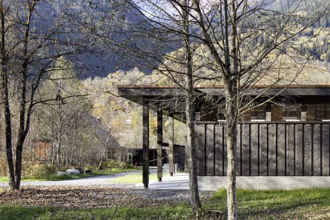 Volumen en madera entre los árboles