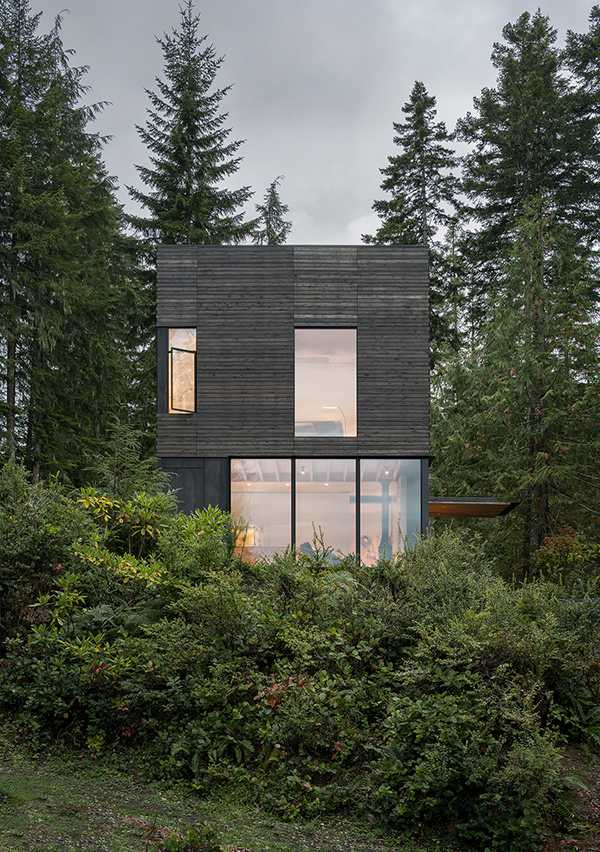Dark wood dwelling immersed in the green of the forest