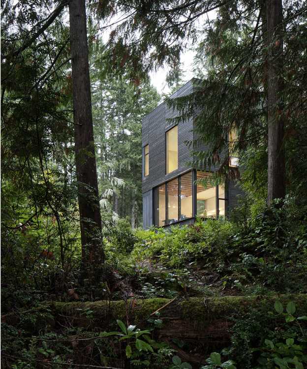 Dark wood exterior immersed in the green of the forest