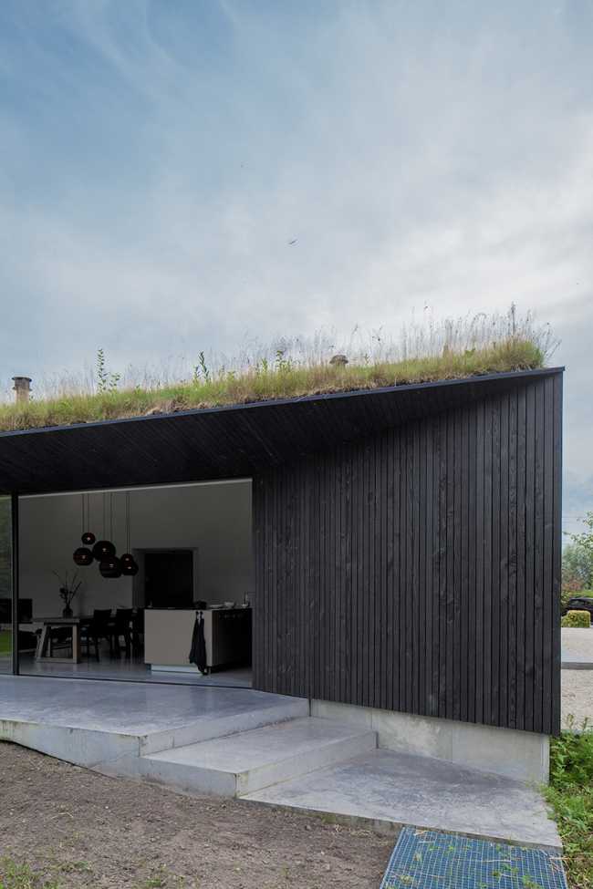Wooden villa and green roof