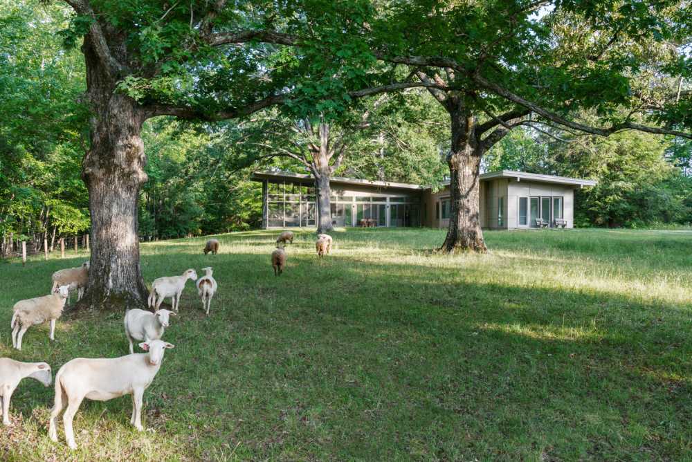Casa in periferia tra gli alberi