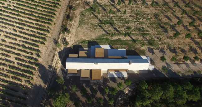 Cottage immerso tra pinete e viti