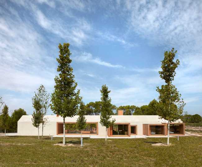 Contrasto tra cemento e legno