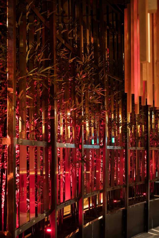 Bosque de bambú en una habitación