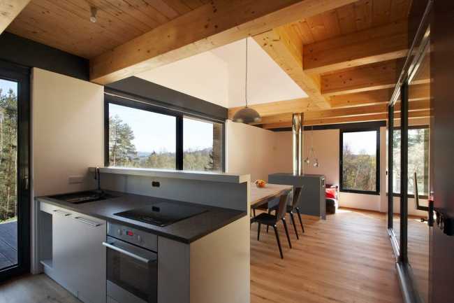 Kitchen and living room with wooden interior