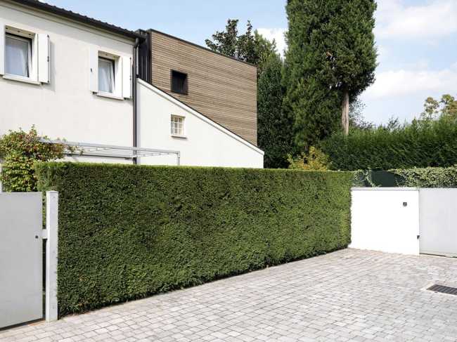 Tetto spiovente e nuovo volume