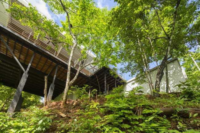 Villa suspendida en el bosque