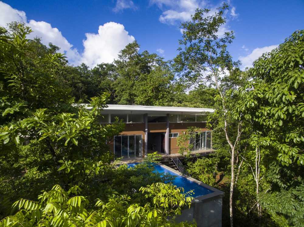 Villa surrounded by vegetation