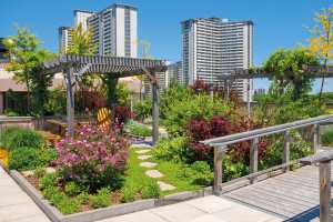 Área verde hecha con tierra clara para jardines colgantes y terrazas Bacchi