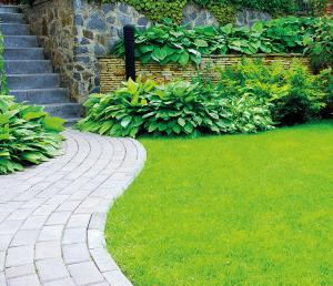 Area verde relizzata con terriccio universale plus Bacchi