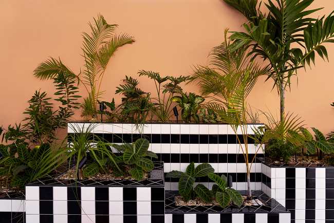 floristería diseño hotel rayas y colores