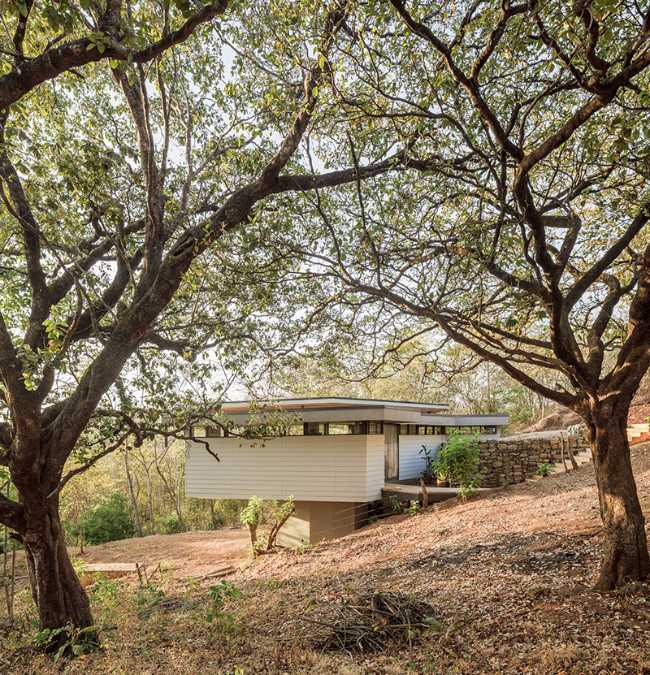 jardín que rodea la casa