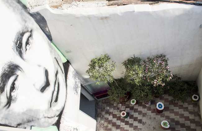 Farm Culture Park murales