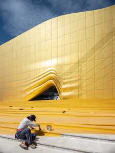 yellow outer lining