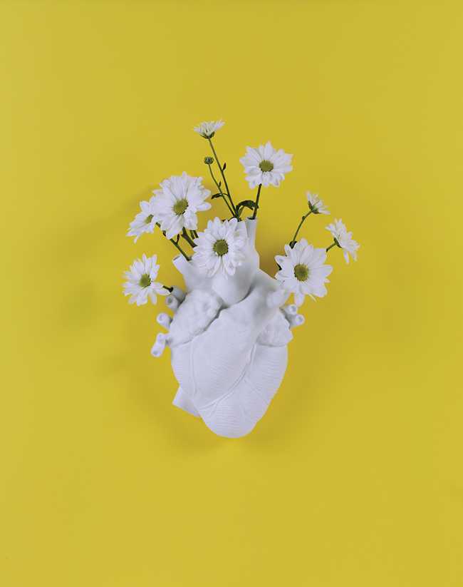 cuore porcellana porta fiori da parete bianco