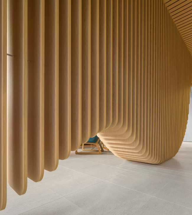 madera curvada en el diseño de interiores de una clínica dental