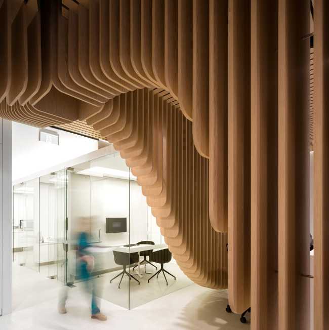 madera curvada en el diseño de interiores de una clínica dental