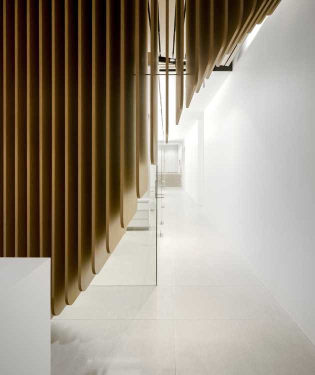 madera curvada en el diseño de interiores de una clínica dental