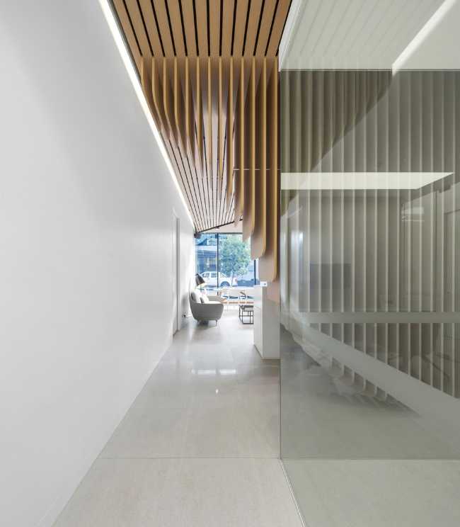 madera curvada en el diseño de interiores de una clínica dental