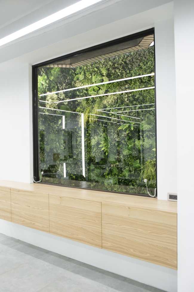Interior design windows and vertical gardens