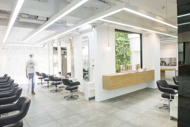 Interior design windows and vertical gardens