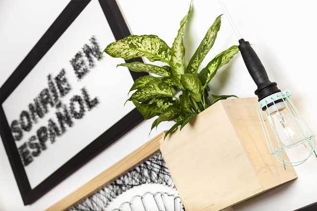 Gráficos y cuadros en una escuela de idiomas