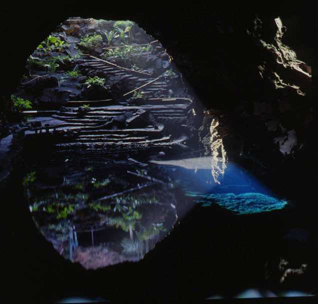 Architettura nella natura