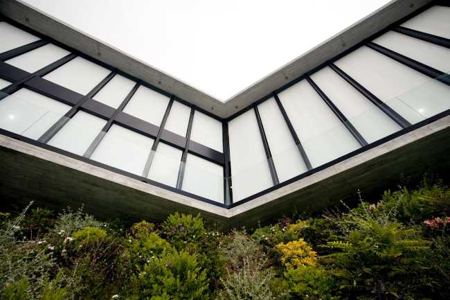 window and garden house x