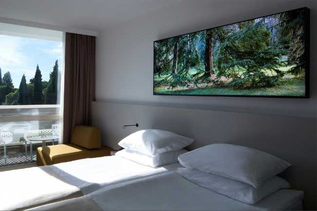 quadri fotografia parco