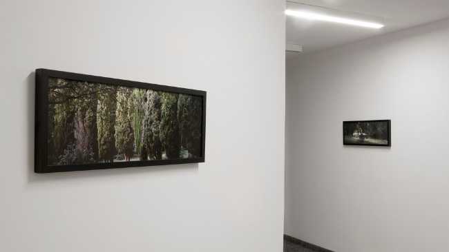 fotografia come quadri hotel mostra