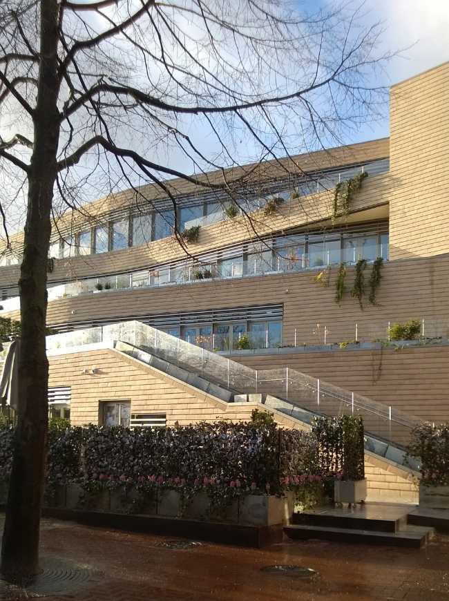 volumes couverts de terre cuite