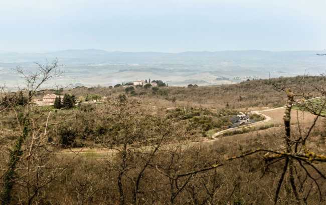 Tuscan wineries