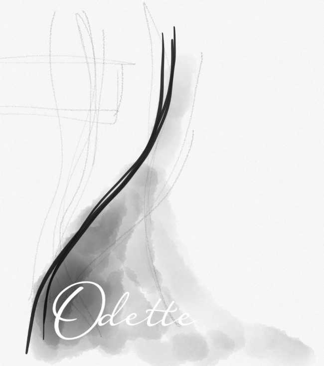 study of the cellar project