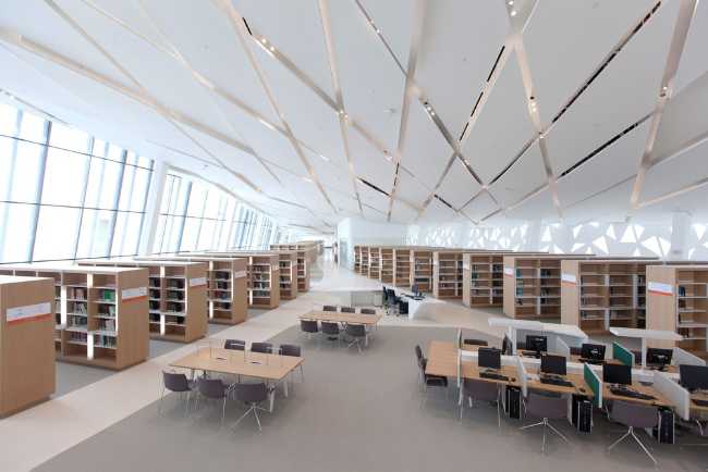 universidad qatar biblioteca de formas fluidas minimalistas