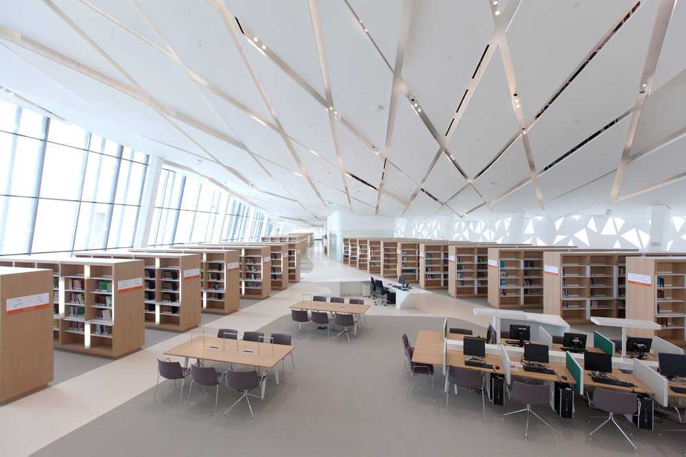 universidad de qatar