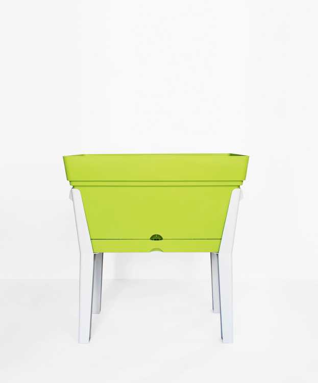 Orto domestico progetto di design render